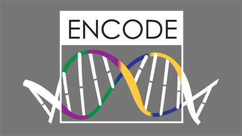 Encode [Golden Pot] .
